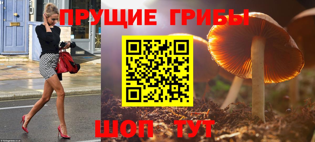 Псилоцибиновые грибы GOLDEN TEACHER Шуя