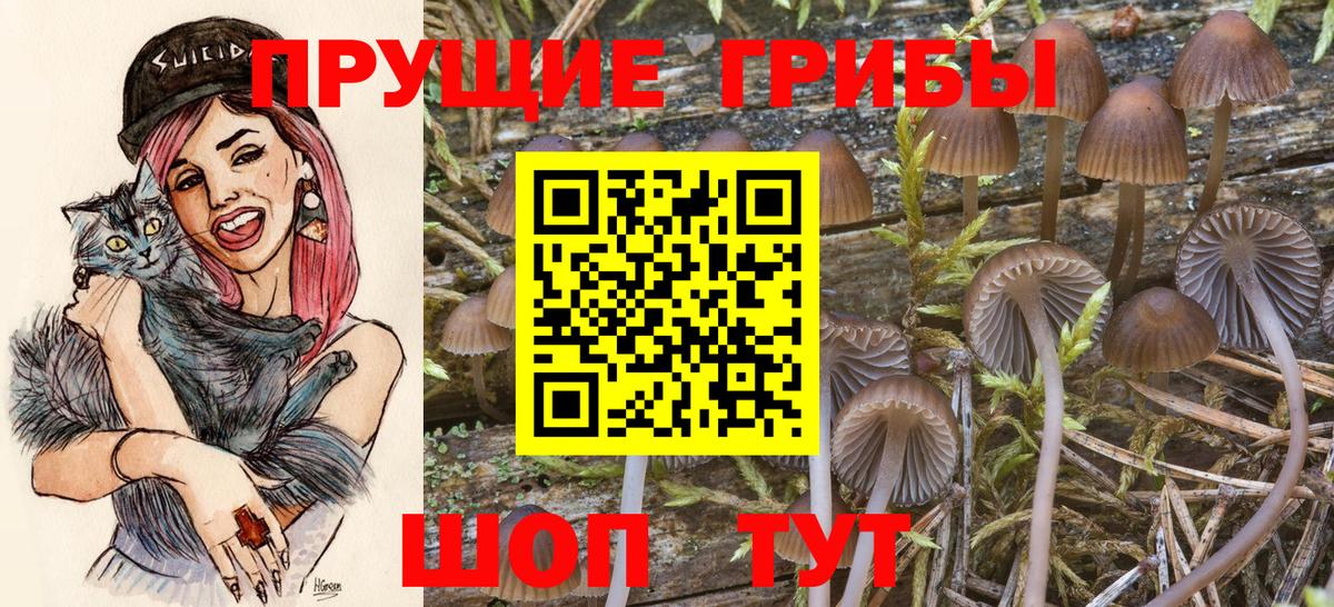 Шуя  Псилоцибиновые грибы мицелий  Вход с VPN 